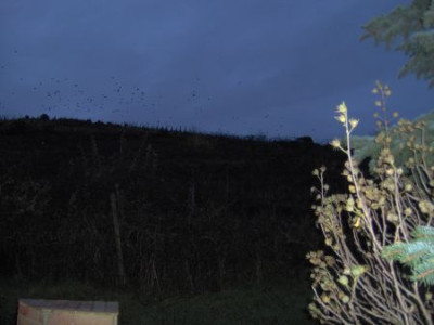 Rabenhimmel.jpg