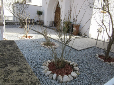 IMG_8643.JPG