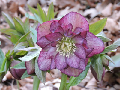 DSCN6505.JPG