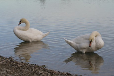 See1.JPG