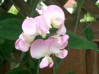 Web_Bild4_022.jpg