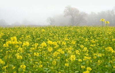 Sonntagsspaziergang-1.jpg