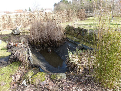 2017-03-05 Teich 1.jpg