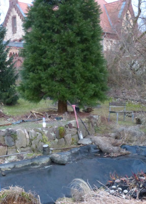 2017-03-05 Teich 4.jpg