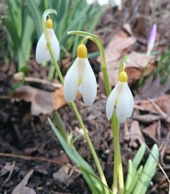 _20170305_152036.JPG