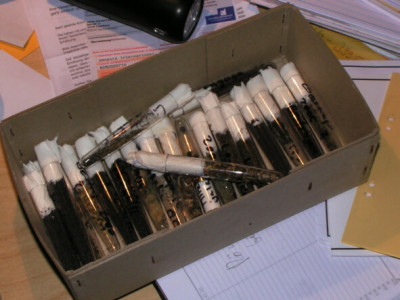 061120_Samenkiste.jpg