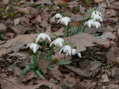 b0503713_800.jpg