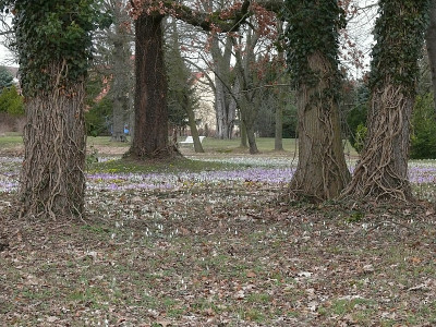 b0503715_800.jpg