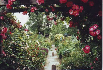 GroenanderungSommerspaziergang.jpg