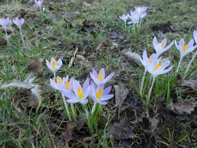 2017-03-04 12.58.32.jpg