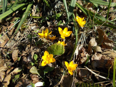 2017-03-04 12.58.50.jpg