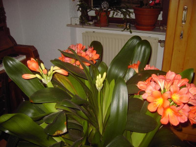 PICT1551.JPG