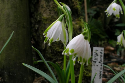DSCN0119.JPG