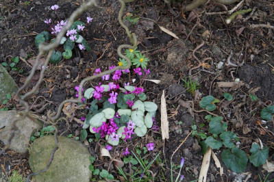 DSC05639.JPG