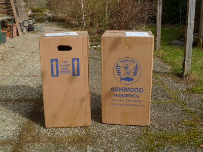 Hellis Ashwood Verpackung 2.jpg