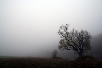Novembernebel-10.jpg