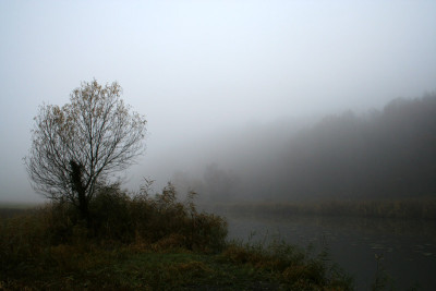 Novembernebel-8.jpg