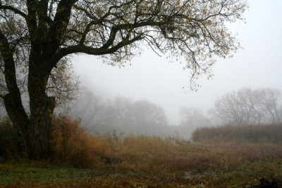 Novembernebel-7.jpg