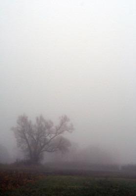 Novembernebel-2.jpg
