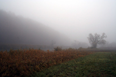 Novembernebel-3.jpg
