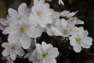 märz 068.jpg