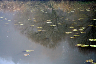 Novembernebel-15-b.jpg