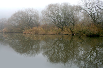 Novembernebel-14.jpg