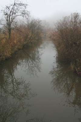 Novembernebel-20a.jpg