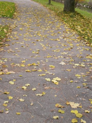 19.11.2006_2.JPG