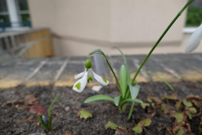 P1000007.JPG
