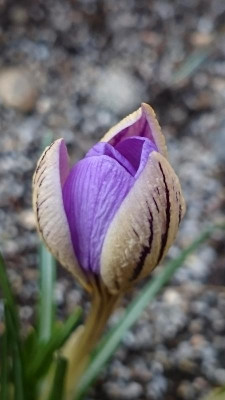 DSC_1212.JPG