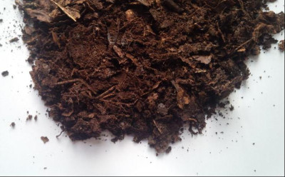 Leaf Mold.jpg