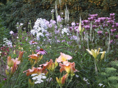 Garten-Impression 3.jpg