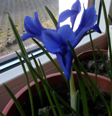 2017-02-17 11.12.56.jpg