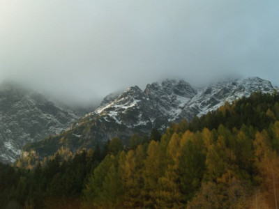 2006-10-30_larchen_vor_grimming.jpg