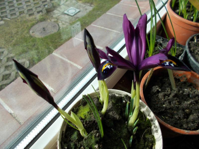 2017-02-25 14.06.13.jpg