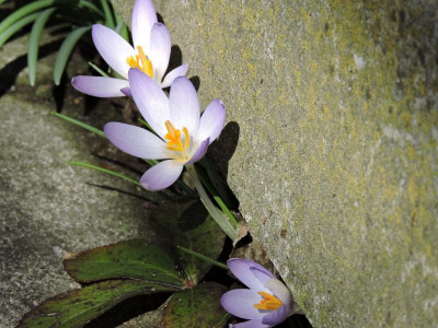 DSCN6527.JPG