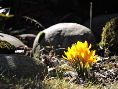 DSCN6539.JPG