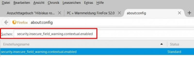 FireFox52_0_02.jpg