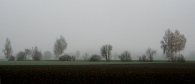 NovemberNebel-20.jpg