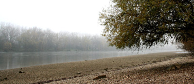 NovemberNebel-22.jpg