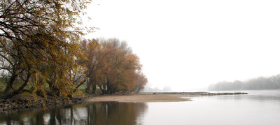 NovemberNebel-24.jpg