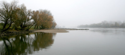 NovemberNebel-25.jpg