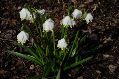 DSCF1275_2118.JPG