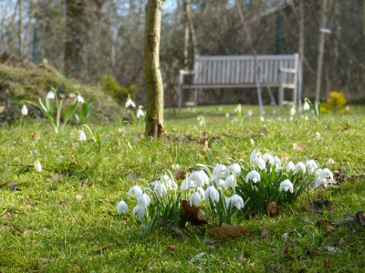 2017-03-12 Gartenimpressionen 1.jpg
