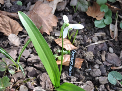 DSCN6594.JPG