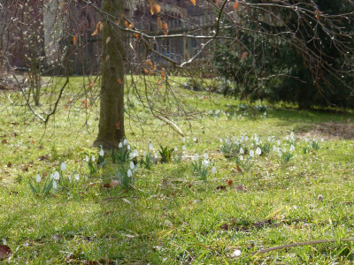 2017-03-12 Garteneinblick 2.jpg