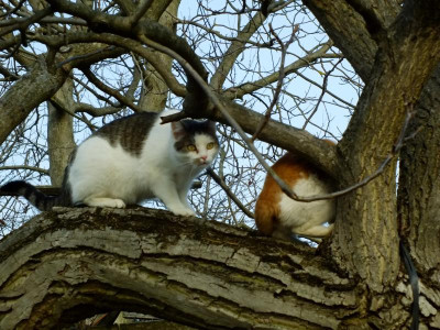 DSCF6192.JPG