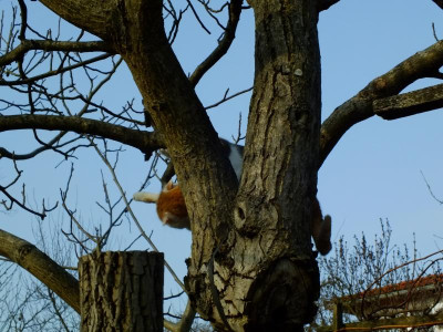 DSCF6190.JPG