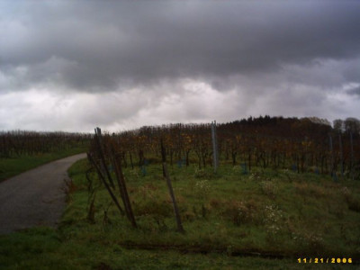 Regenwetter.jpg